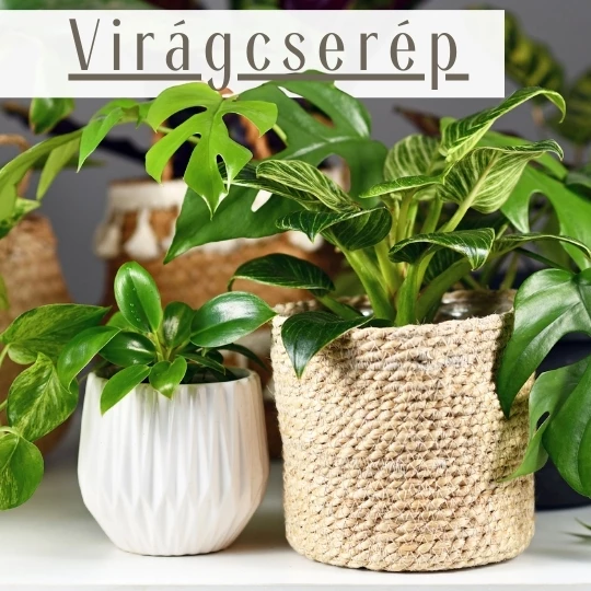 Marázplast Háztartási Áruház és Nagykereskedés