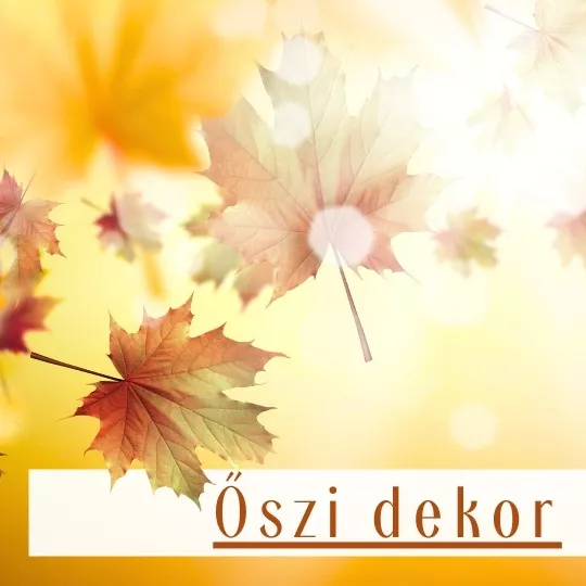 Marázplast Háztartási Áruház és Nagykereskedés