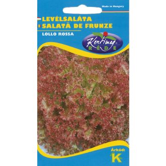 Vmag tépősaláta lollo rossa 2g