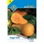 orange_1_500