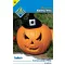 1582374609_20236_halloween tök