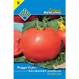 kecskemeti_jubileum_1_500