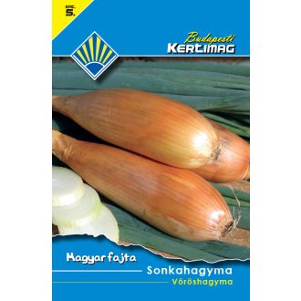 sonkahagyma_1_500