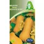 Vmag sütőtök nectar orange 10 szem (Terméktörzsből)