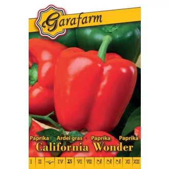 californiai-wonder