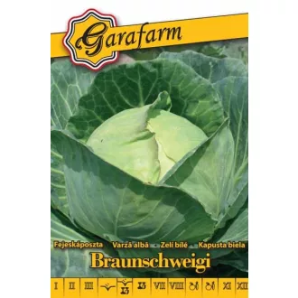 Braunschweigi-kaposzta