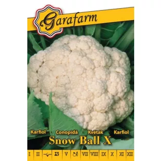 snow-ball-x