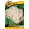 snow-ball-x