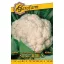 snow-ball-x