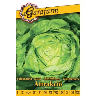attrakcio-salata