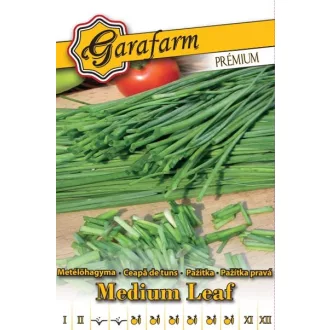 medium-hagyma