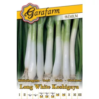 long-hagyma