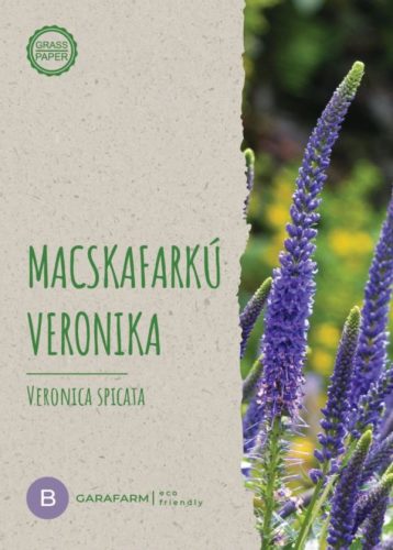 macskafarku___veronika-600x838