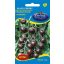 Vmag paradicsom Black cherry 0,5g