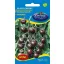 Vmag paradicsom Black cherry 0,5g (Terméktörzsből)