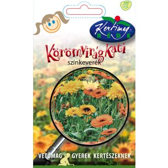 Vmag gyerek körömvirág kati 2g