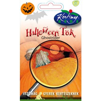 Vmag gyerek halloween tök ghostrider 2g