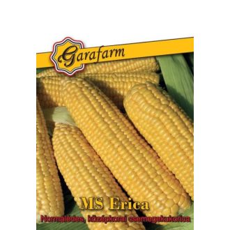 Vmag csemegekukorica édes MS Erica 25szem Garafarm