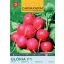 46012_gloria_f1_retek_e-400x571