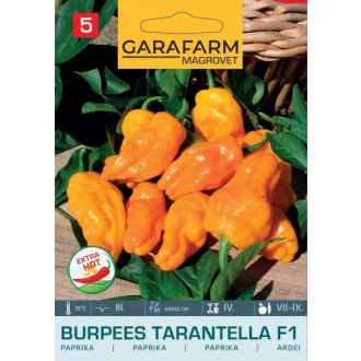 48005_burpees_tarantella_f1_e-400x572