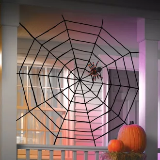 01_58102_web