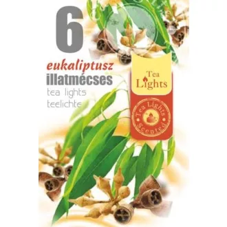 Illatmécses eukaliptusz 6db-os (Terméktörzsből)
