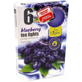xIllatmécses áfonya 6db-os