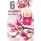 Illatmécses Magnolia 6 db-os (Terméktörzsből)