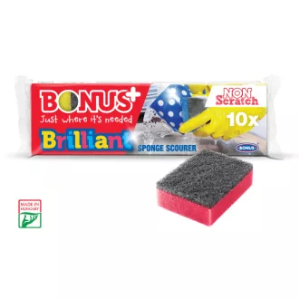 Mosogatószivacs 10db-os Prémium (B513) (Terméktörzsből)