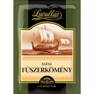 Kömény egész 20g (Terméktörzsből)