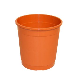 Hajtatócserép 9 cm