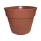 Cserép 12cm terrakotta J. (Terméktörzsből)