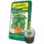 Dekor agyag gran. Florimo vödrös terracotta 1l