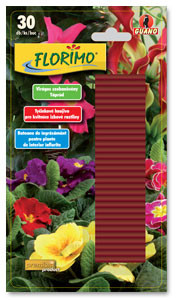 Táprúd virágos szobanövény, Florimo 30 db-os