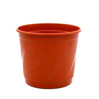 Hajtatócserép 12 cm