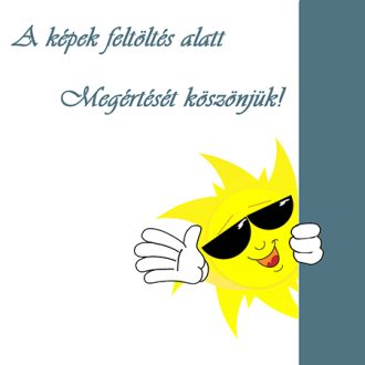 Virághagyma Gladiolus My Love 1.ács.FIX ÁR!!!