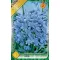 Virághagyma Agapanthus umbellatus kék 2.ács. FIX ÁR!!! (Terméktörzsből)