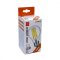 xAvide Led Filament Globe 12W E27 A65 360° NW 4000K HL