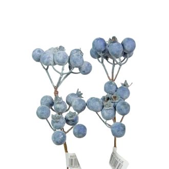 BMG122348blue