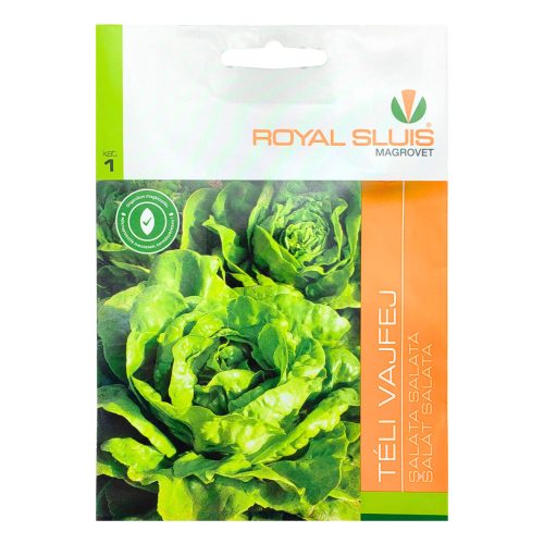 Vmag saláta Téli vajfej 2,5g Royal