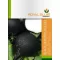 xVmag retek, fekete Black spanish round 3g Royal