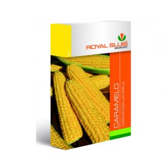 Vmag csemegekukorica Caramelo 100szem Royal
