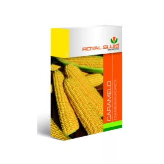 Vmag csemegekukorica Caramelo 100szem Royal (Terméktörzsből)