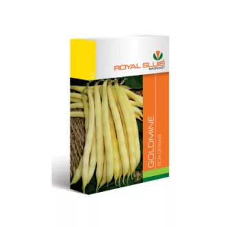 Vmag bokorbab Goldmine 100g Royal (Terméktörzsből)