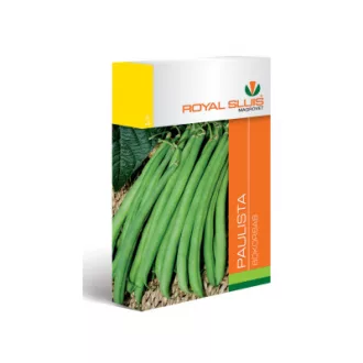 Vmag bokorbab Paulista 100g Royal (Terméktörzsből)