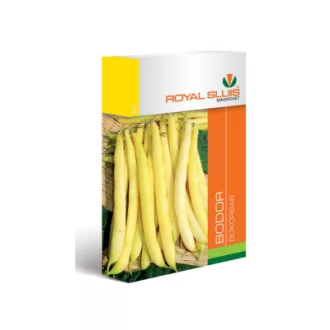 Vmag bokorbab Bodor 100g Royal (Terméktörzsből)