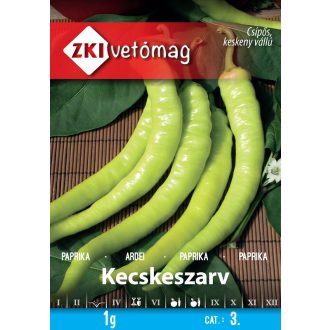 zki-01-013-01-fullsize_jpg
