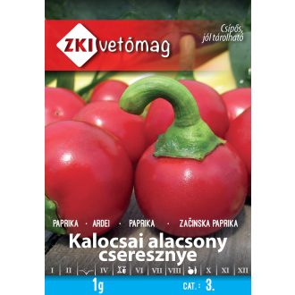 zki-02-001-01-fullsize_jpg