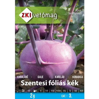 zki-24-004-01-fullsize_jpg