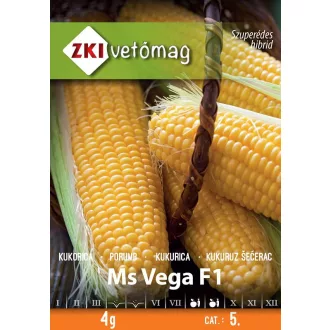 Vmag csemegekukorica MS Vega F1 4g ZKI